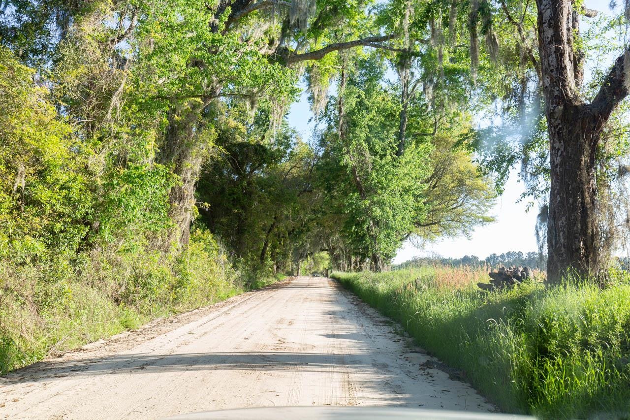 756 Frank Lacy Road Monticello, FL 32344 - Photo 31 of 35