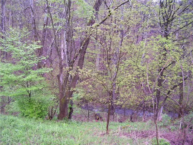 $32,000 | 328 Whaupaunaucau Road, North Norwich, NY 13815