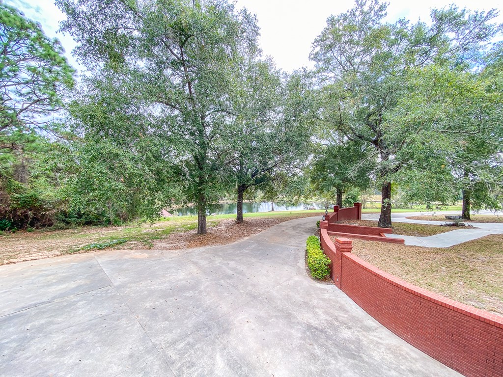 4566 Goose Hollow Road Geneva, AL 36340 - Photo 53 of 63