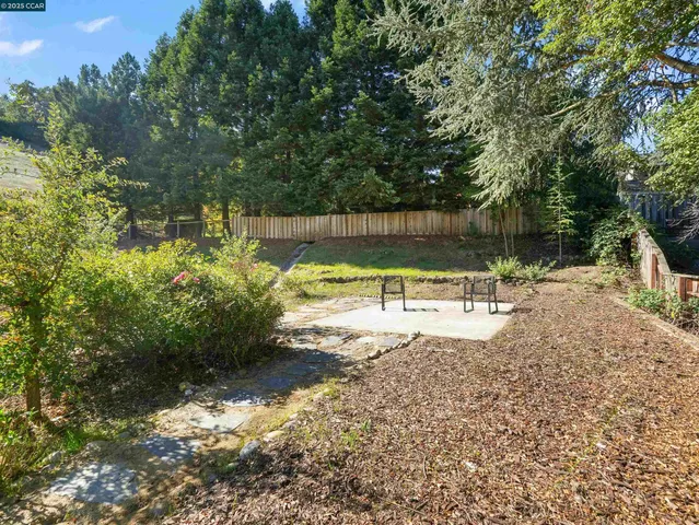 a view of a yard with a tree