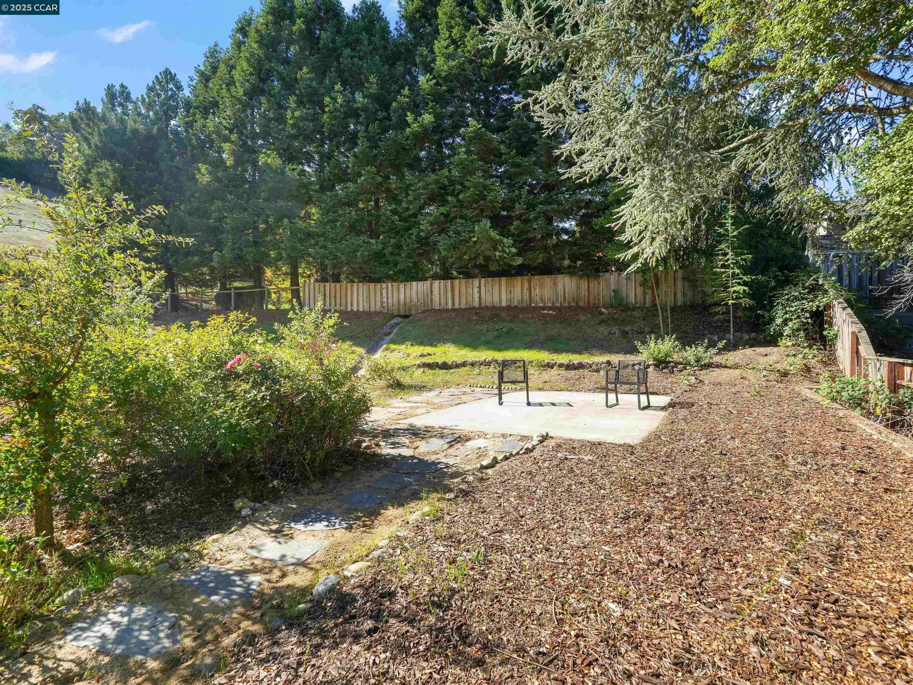 2482 Wildhorse Drive San Ramon, CA 94583 - Photo 30 of 41 a view of a yard with a tree