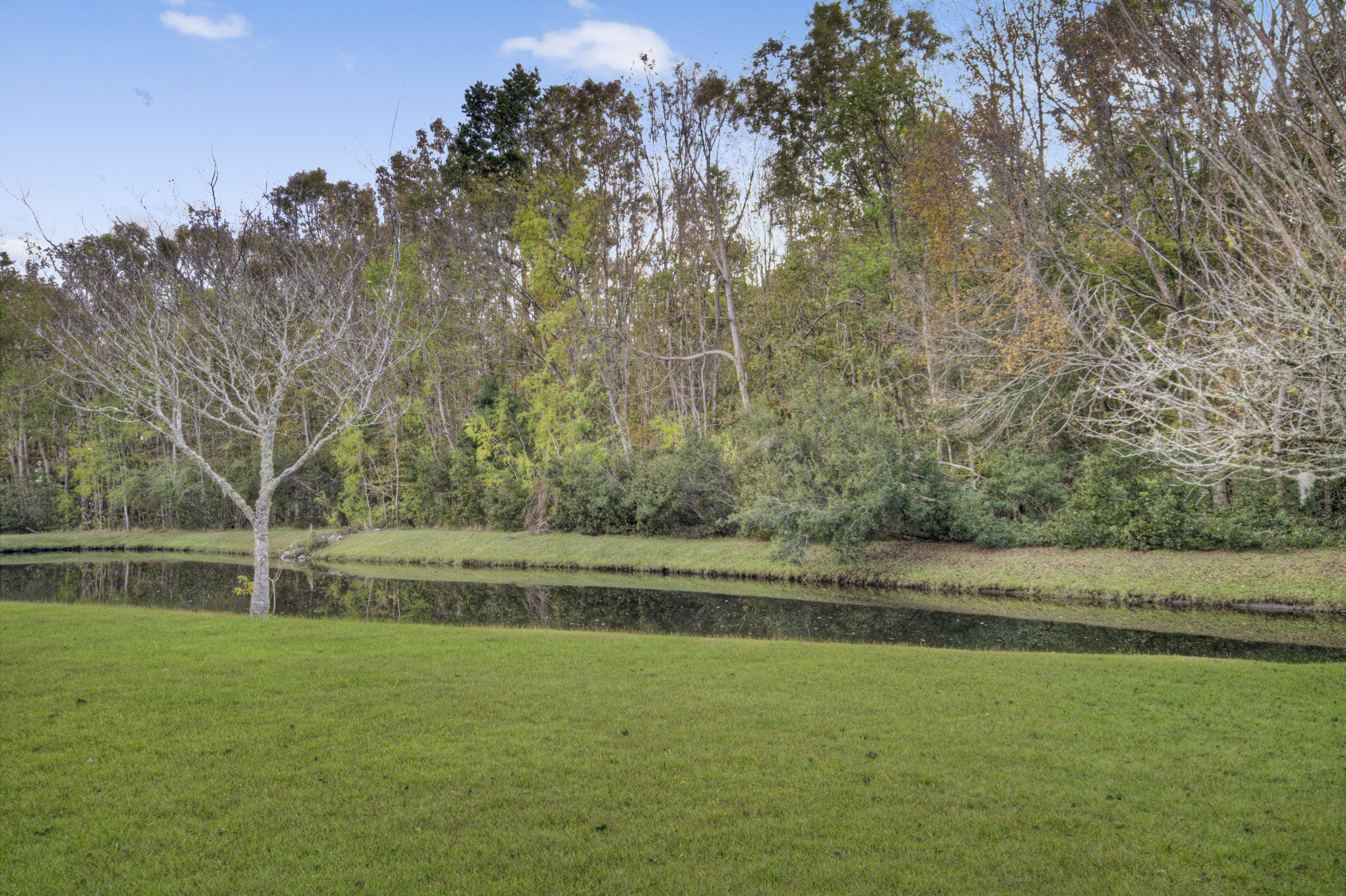 7089 Windmill Creek Road Charleston, SC 29414 - Photo 22 of 22 IMG_4946_7_8