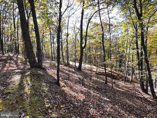 0 Lower Arkansas Road Baker, WV 26801 - Photo 8 of 13