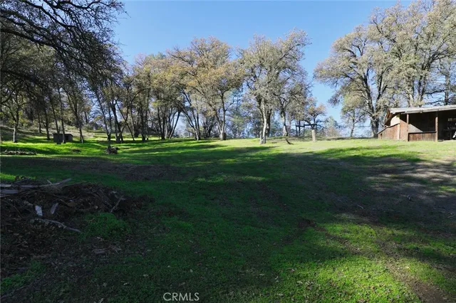 a yard with lots of green space and trees