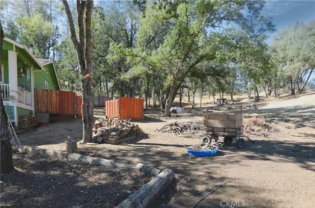 a view of a park with large trees