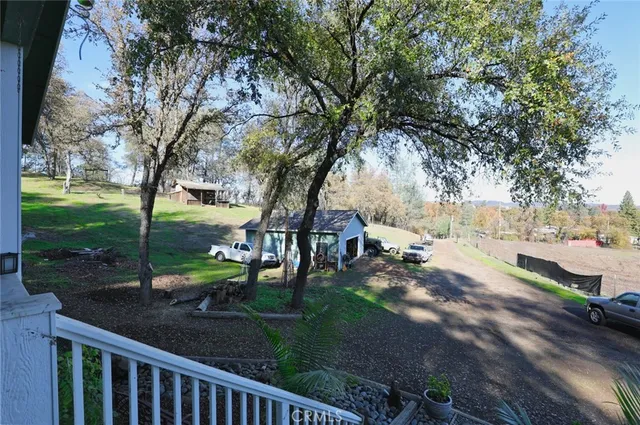 a view of a park with large trees