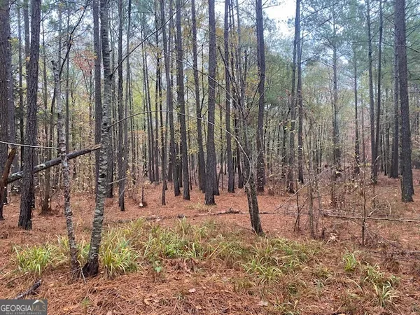 a view of outdoor space with trees