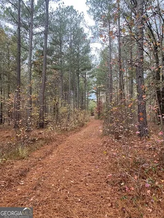 a view of a yard with trees