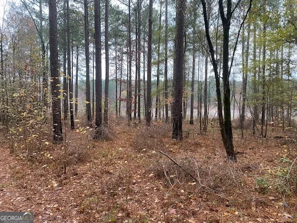 a view of outdoor space with lots of trees