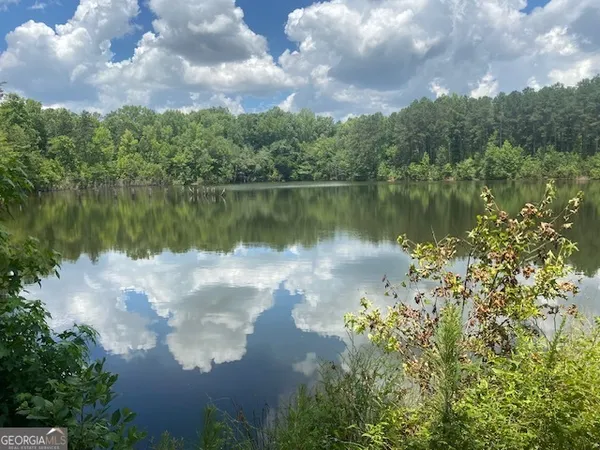a body of water with a tree in the background