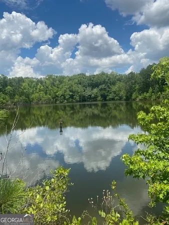 a view of a lake from a yard