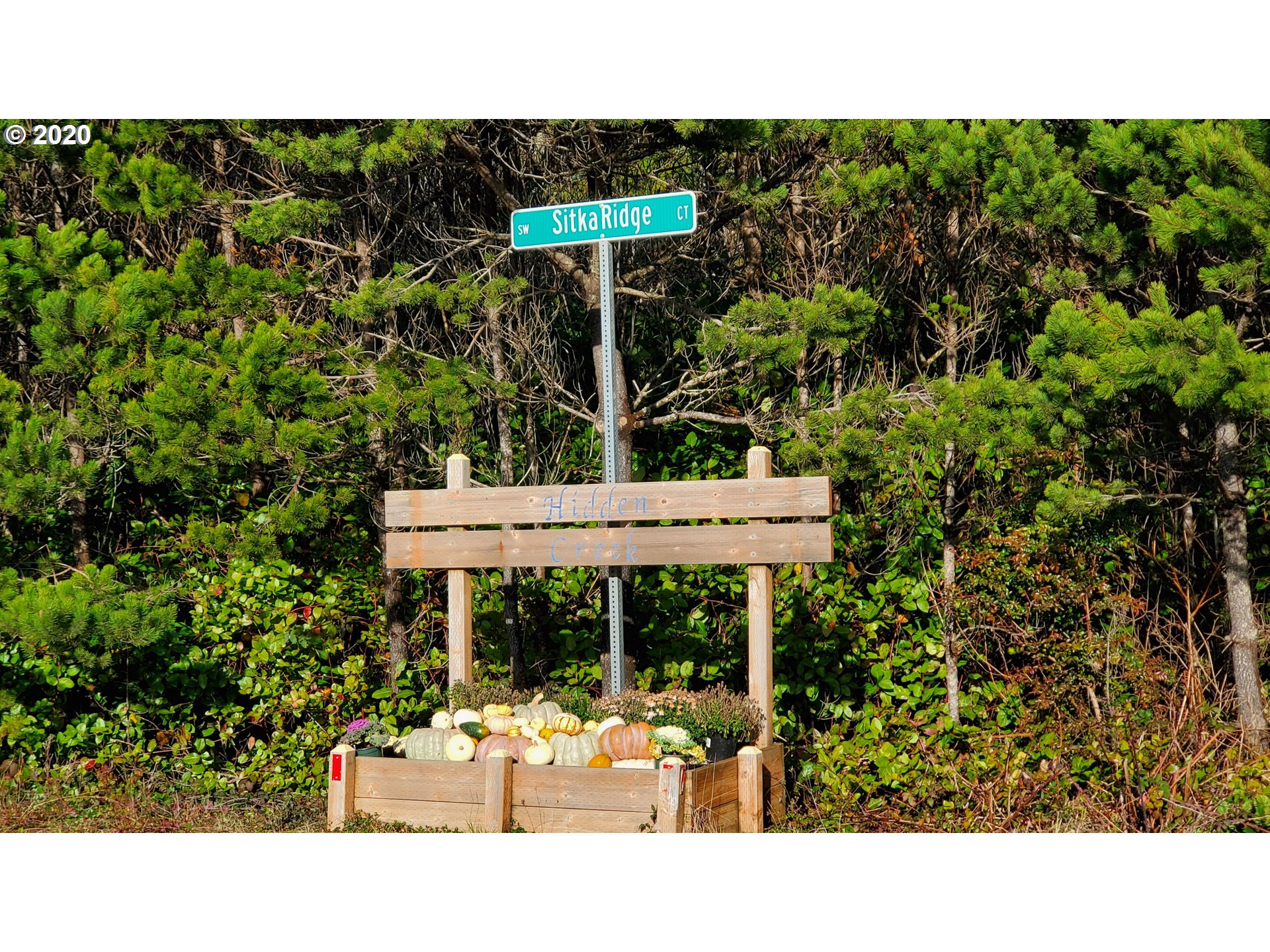 Sitka Ridge Waldport, OR 97394 - Photo 1 of 8 Gallery Image 1