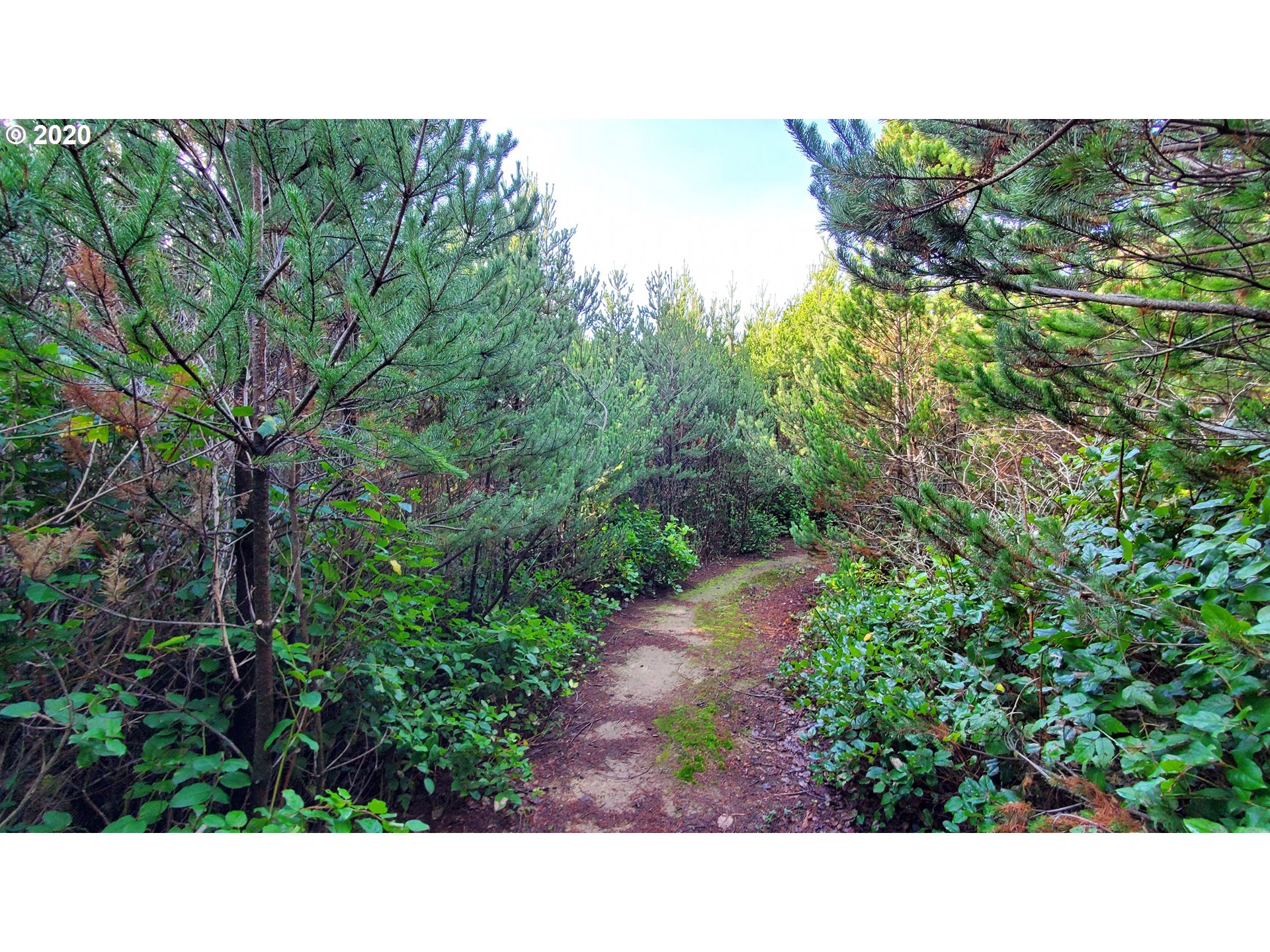 Sitka Ridge Waldport, OR 97394 - Photo 6 of 8 Gallery Image 6