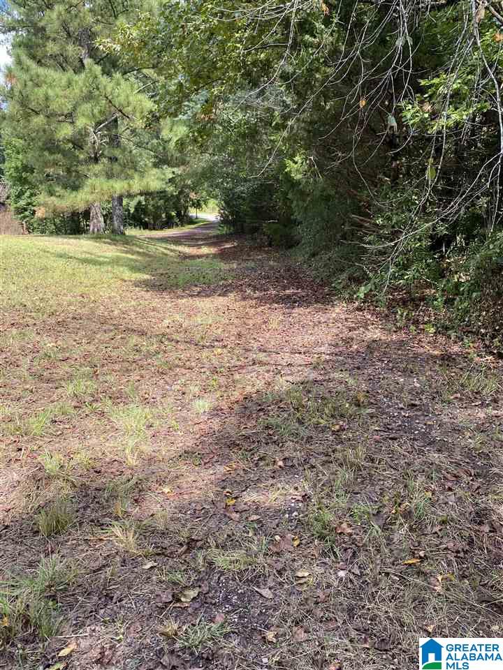 235 Water Tank Road Hayden, AL 35079 - Photo 7 of 11 Gallery Image 7