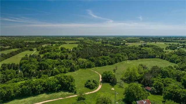 a view of a forest from a balcony