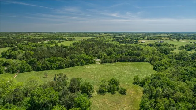 a view of a field with an trees