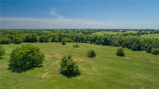 a view of a green field with lots of bushes