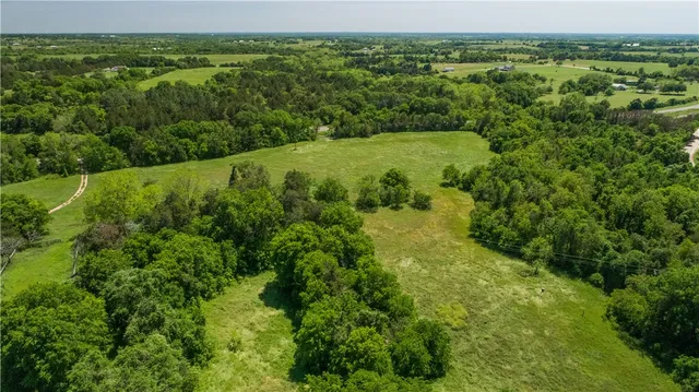 a view of a city with lush green forest