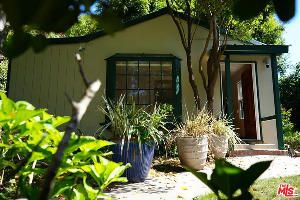 a potted plant sitting in front of a house