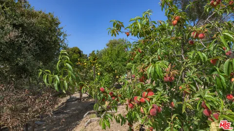 $13,450,000 | 6815 Dume Drive, Malibu, CA 90265