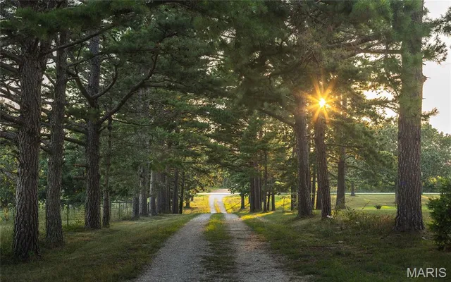 $370,000 | 18480 State Rte O, Rolla, MO 65401