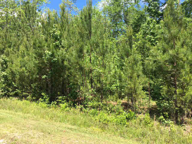3 Marlin Street Stockton, AL 36579 - Photo 2 of 2