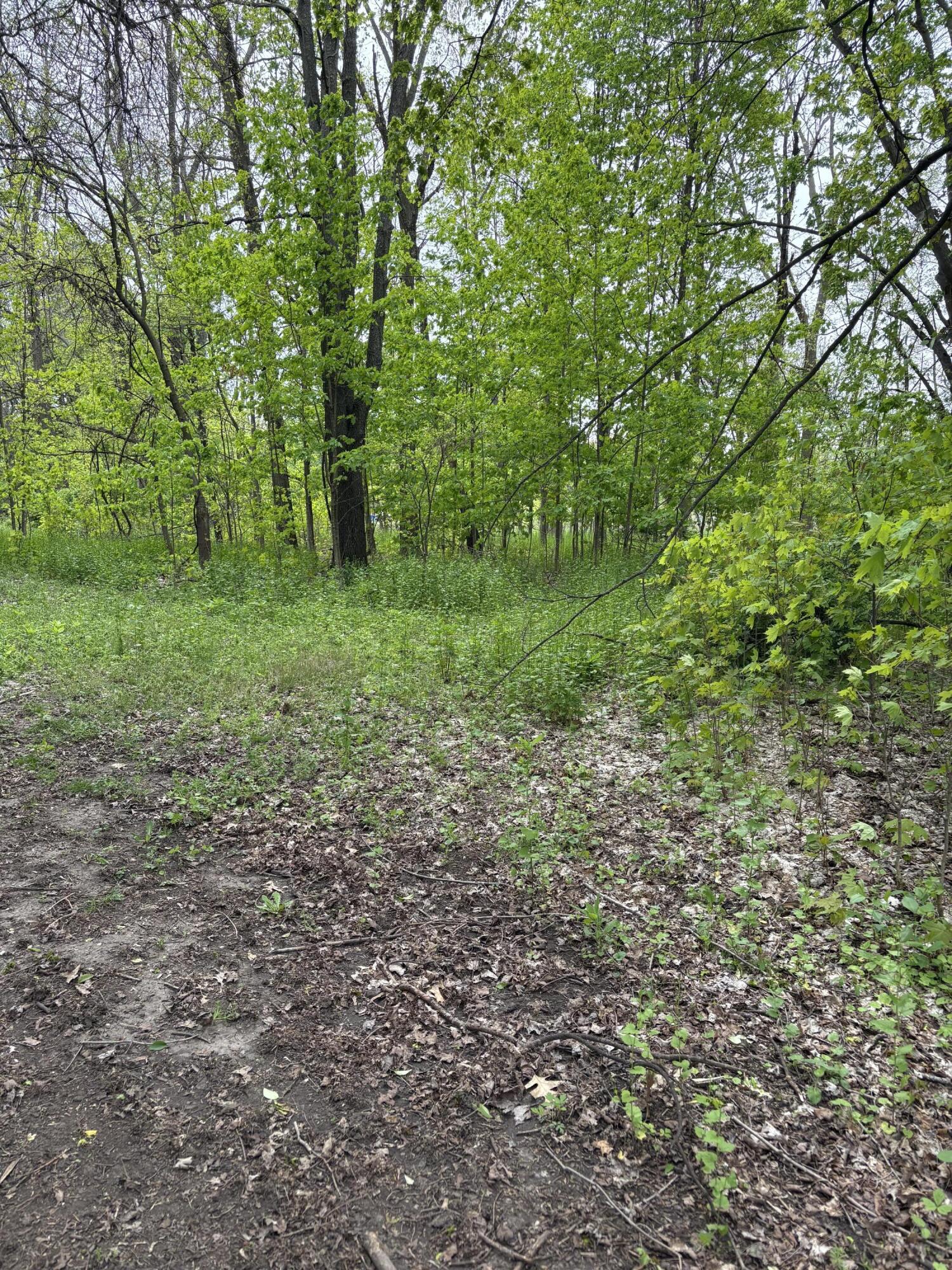 West Territorial Road Battle Creek, MI 49015 - Photo 2 of 5 Territorial