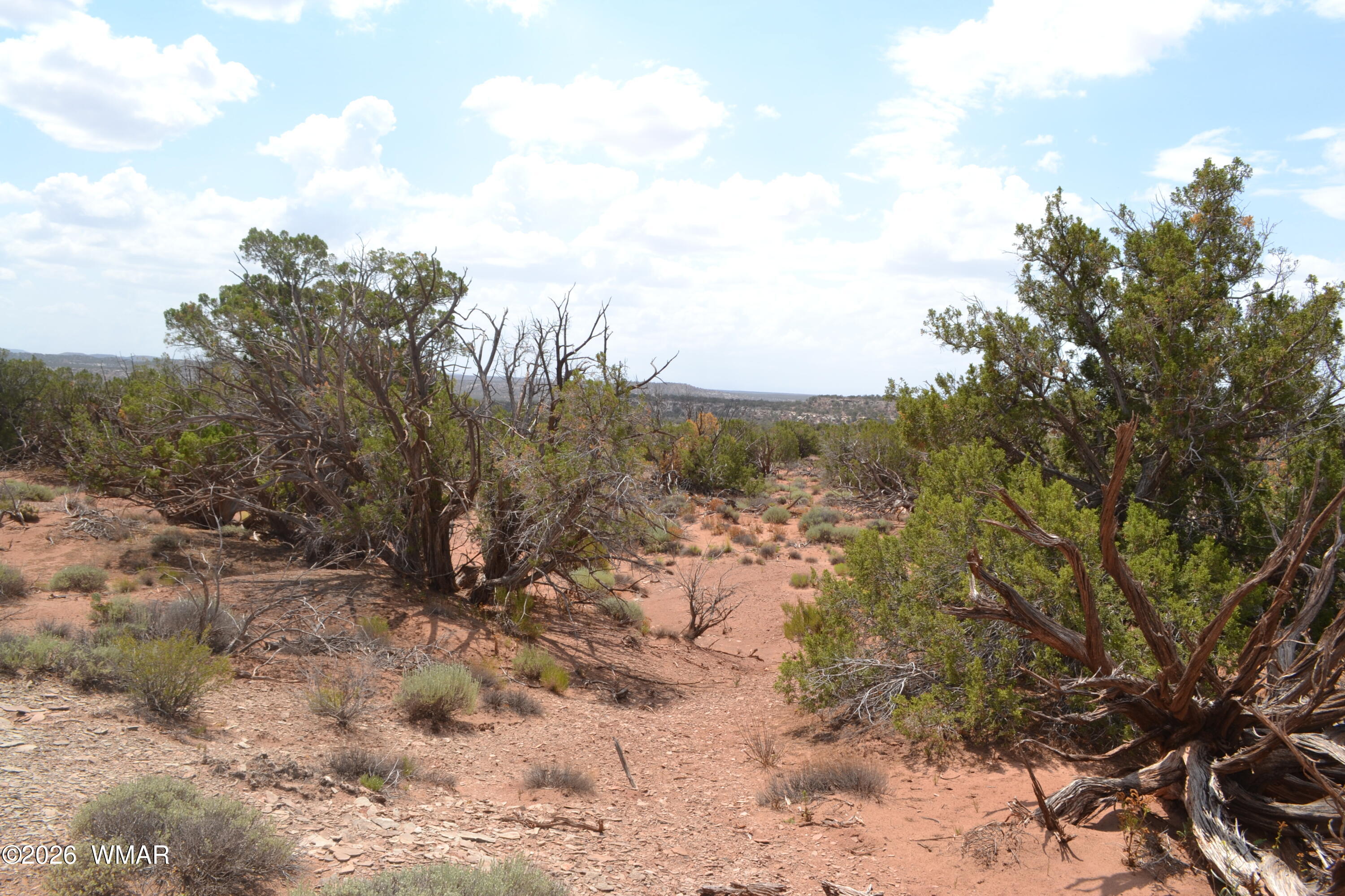 3813 Hay Hollow Road Snowflake, AZ 85937 - Photo 16 of 43 Gallery Image 16