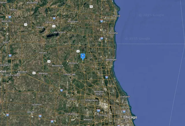 a close up of a plant in a bathroom