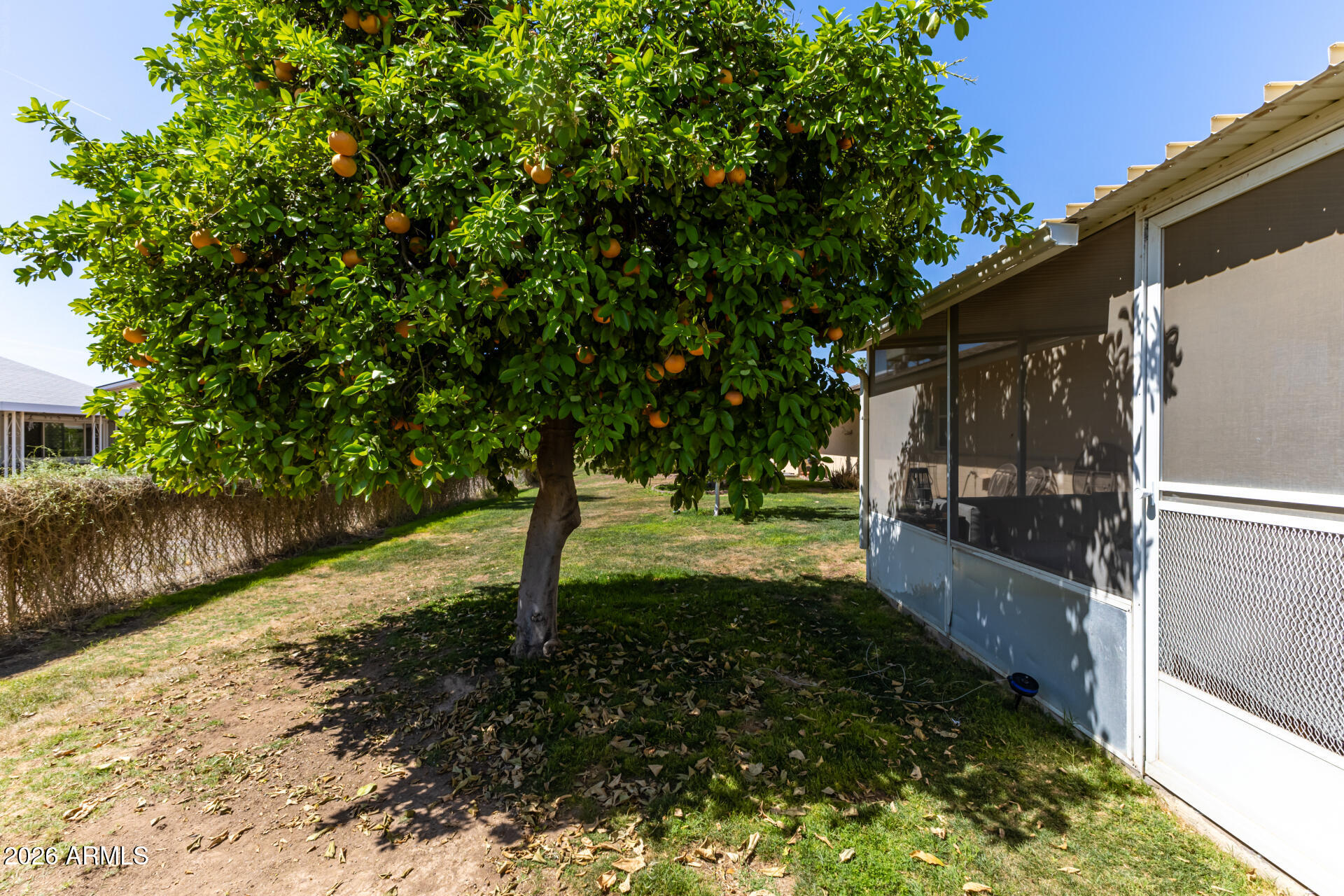9933 West Mountain View Road Sun City, AZ 85351 - Photo 23 of 24