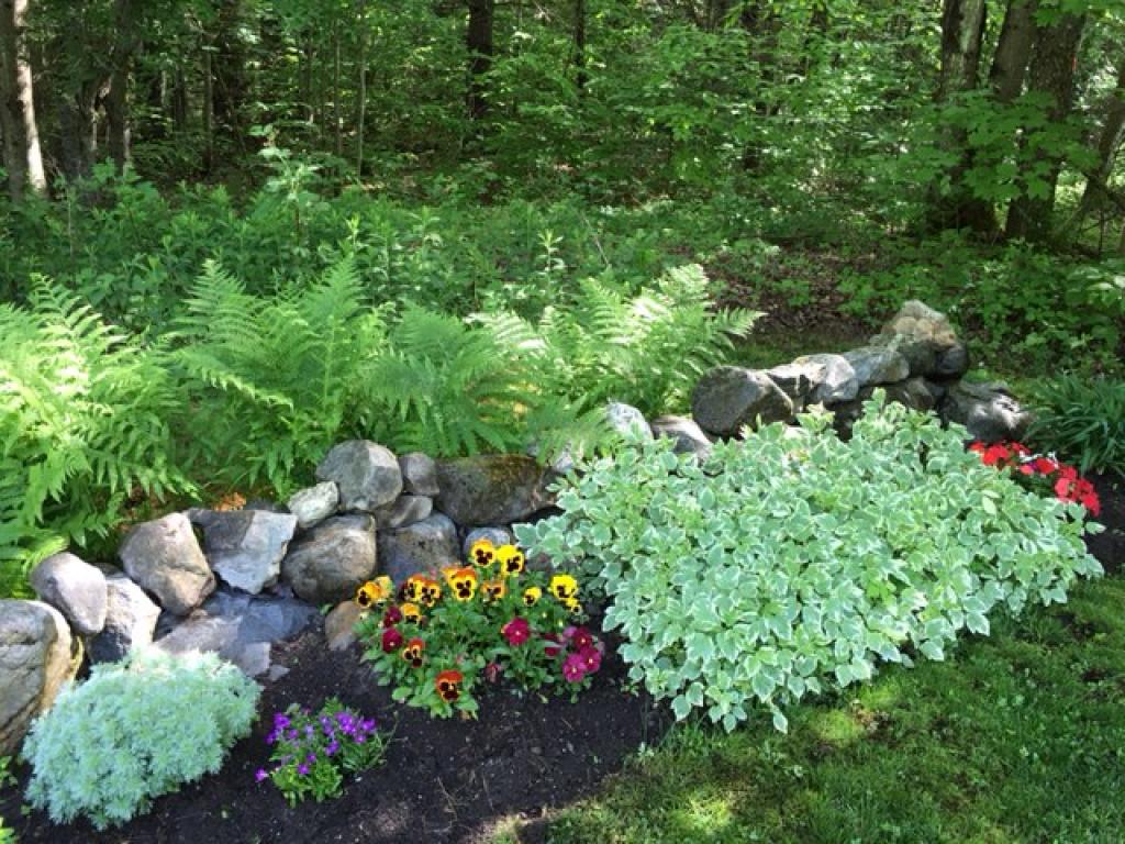 1410 Lincoln Road Ripton, VT 05766 - Photo 26 of 28