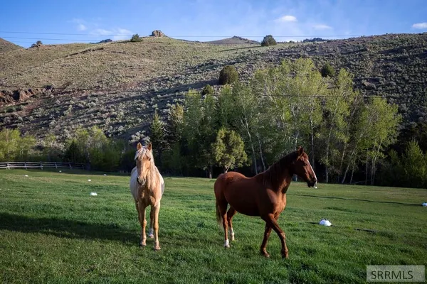 $1,825,000 | 37 Canyon View Road, Salmon, ID 83467