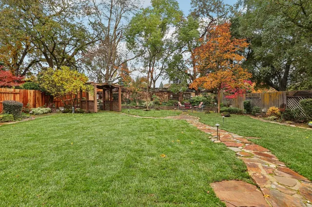 a view of a park with large trees