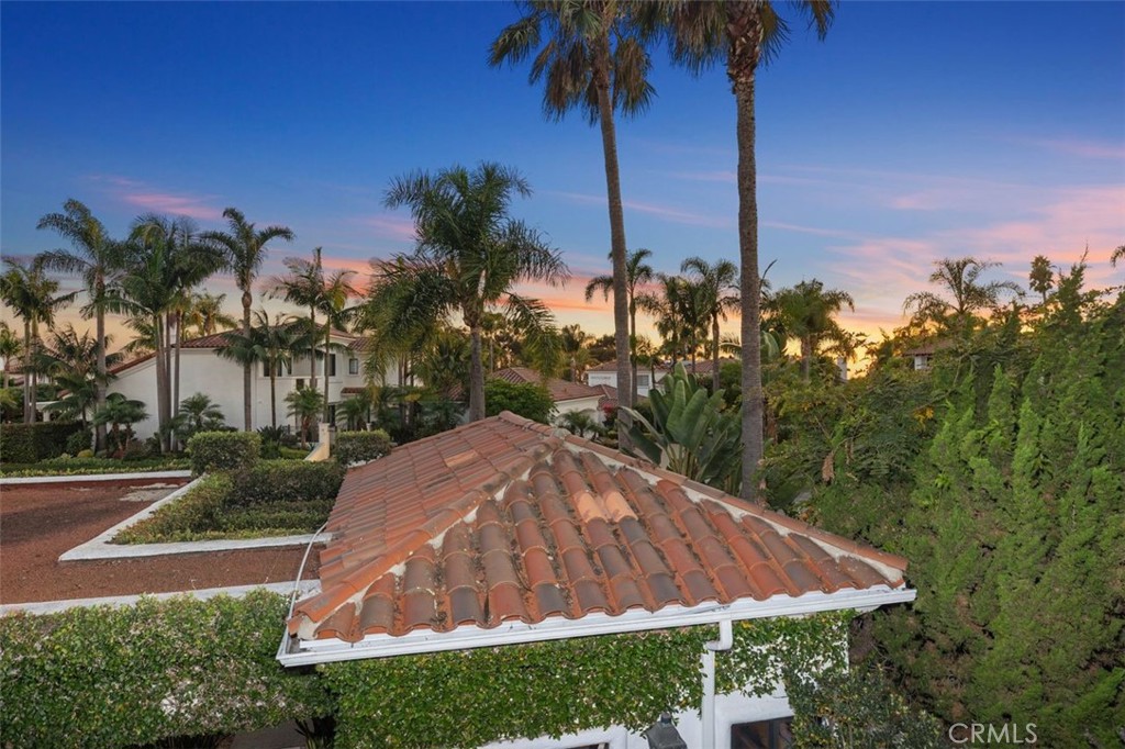 12 Terraza Del Mar Dana Point, CA 92629 - Photo 4 of 52 a view of a garden