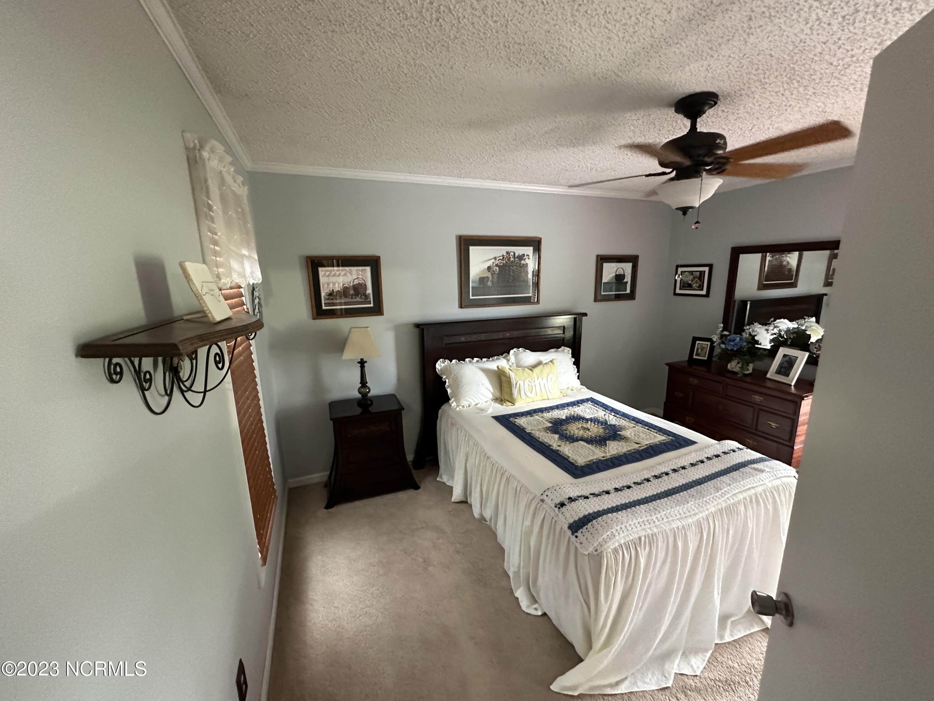 302 Harrell Church Road Gatesville, NC 27938 - Photo 13 of 38 Bedroom 1