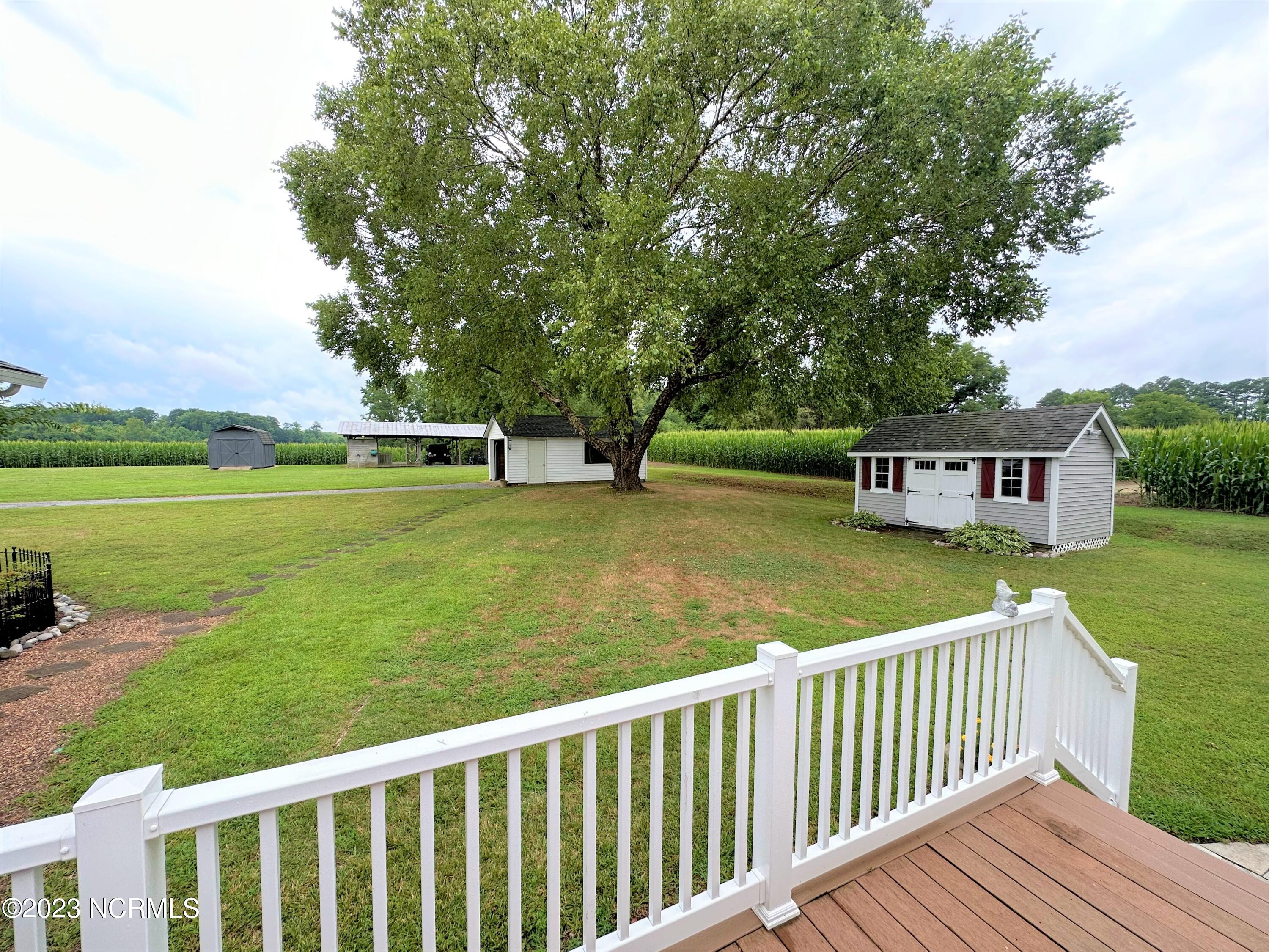 302 Harrell Church Road Gatesville, NC 27938 - Photo 24 of 38 Back Yard