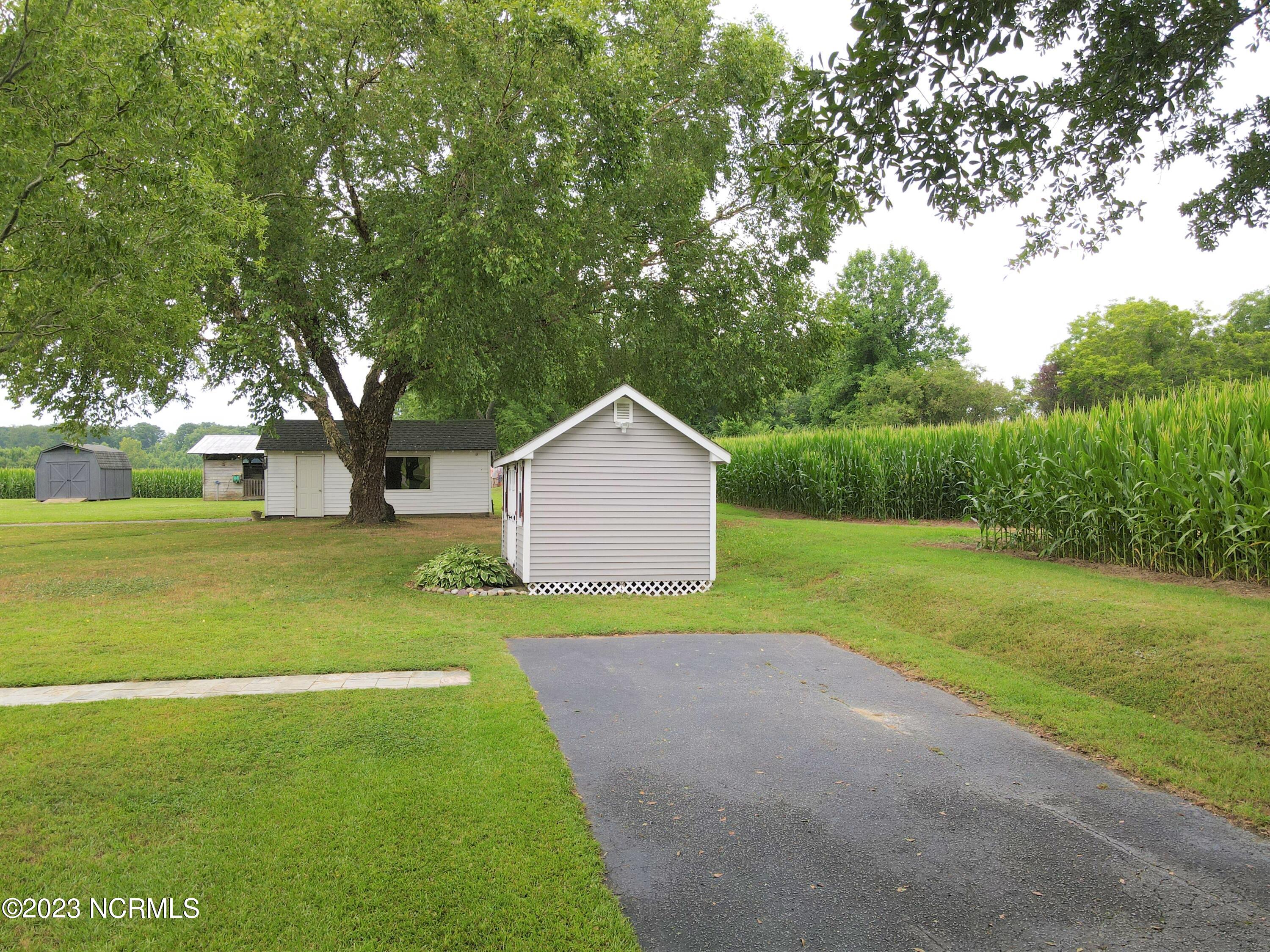 302 Harrell Church Road Gatesville, NC 27938 - Photo 25 of 38 Back yard 3