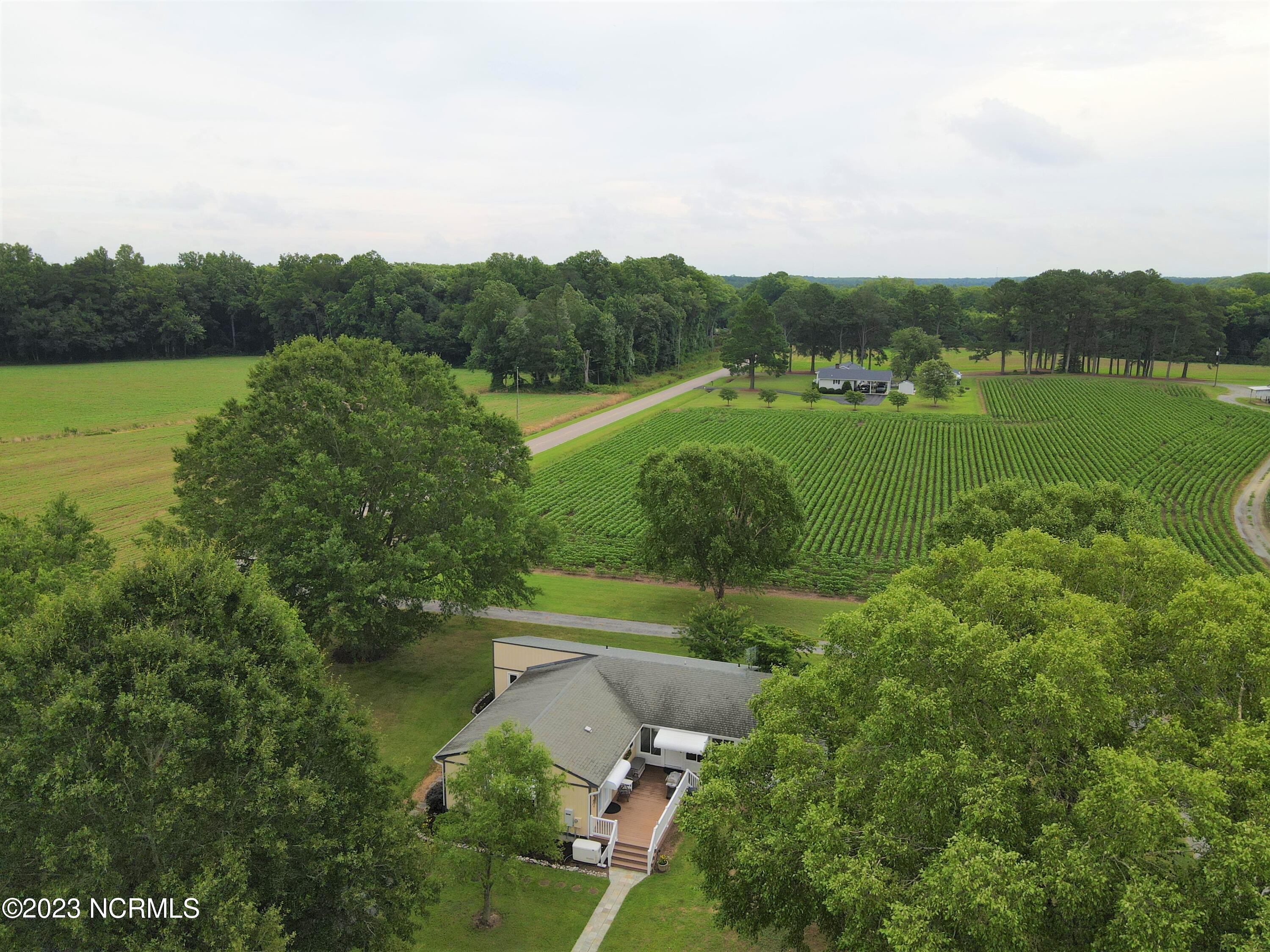 302 Harrell Church Road Gatesville, NC 27938 - Photo 38 of 38 Aerial Photo