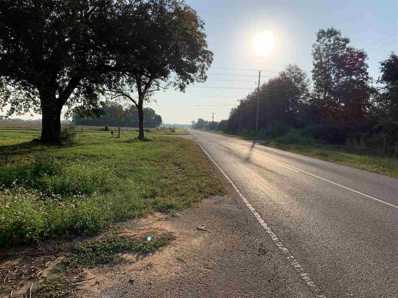 0 Brinks Willis Road Foley, AL 36535 - Photo 2 of 2 Eastern View