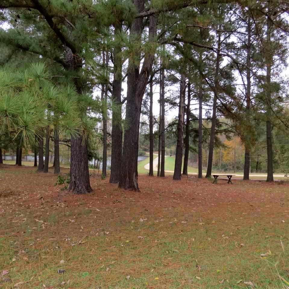 7845 Panther Lake Road Willow Spring, NC 27592 - Photo 1 of 8 Gallery Image 1