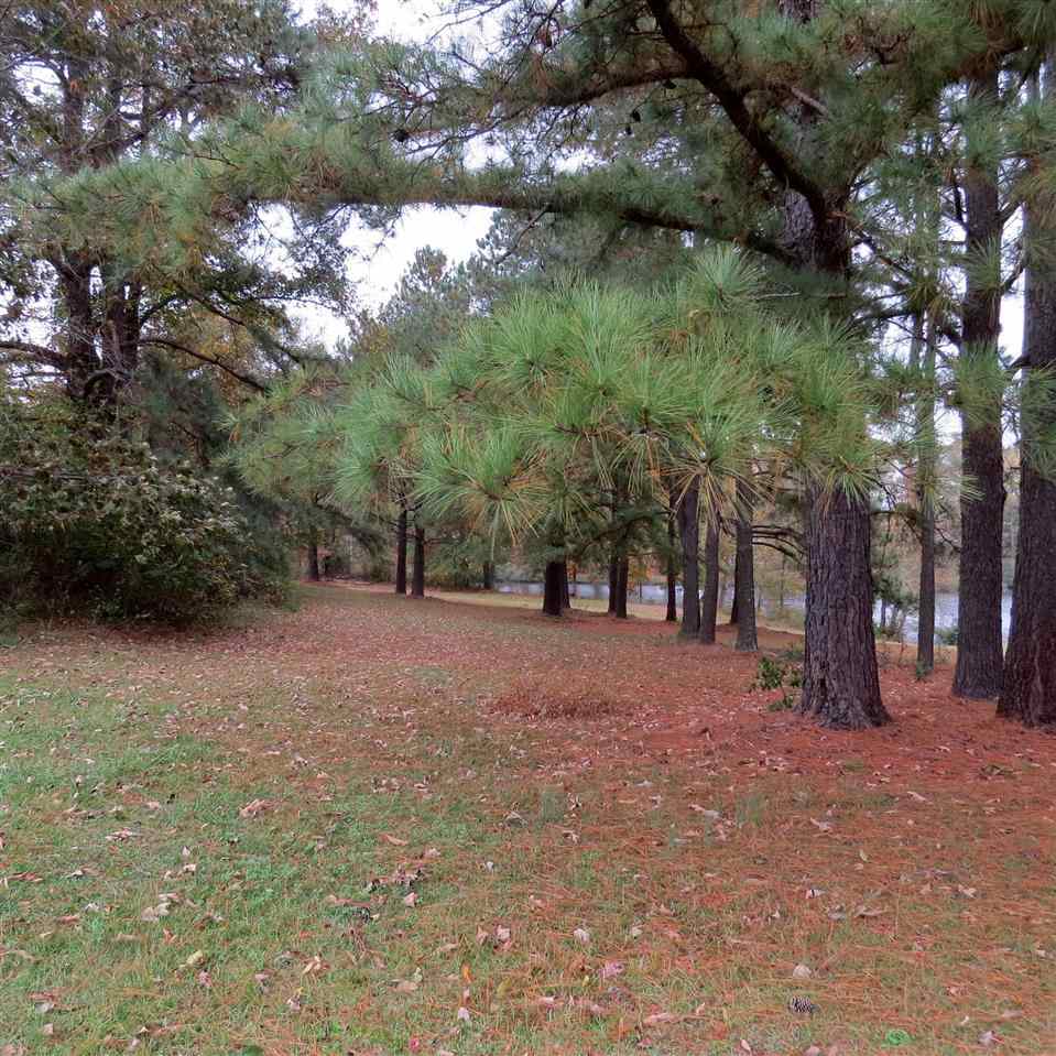 7845 Panther Lake Road Willow Spring, NC 27592 - Photo 2 of 8 Gallery Image 2