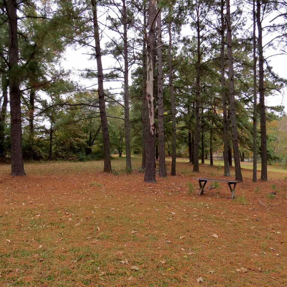 7845 Panther Lake Road Willow Spring, NC 27592 - Photo 3 of 8 Gallery Image 3