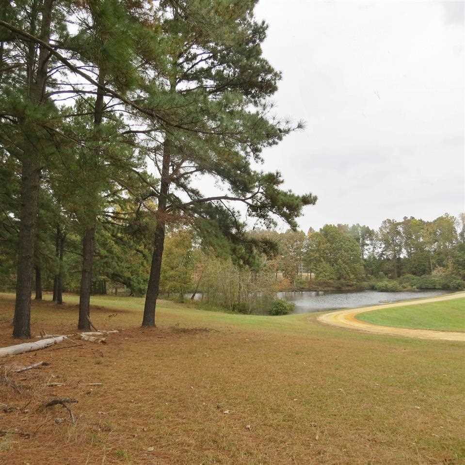 7845 Panther Lake Road Willow Spring, NC 27592 - Photo 4 of 8 Gallery Image 4