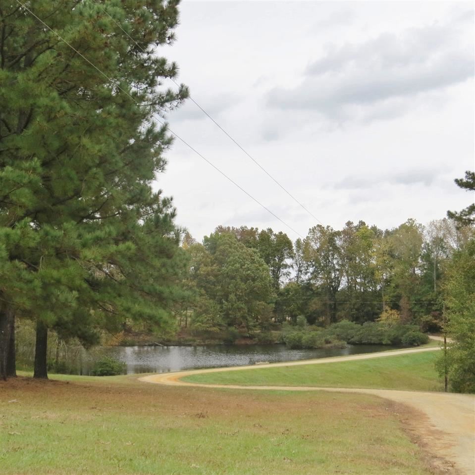7845 Panther Lake Road Willow Spring, NC 27592 - Photo 8 of 8 Gallery Image 8