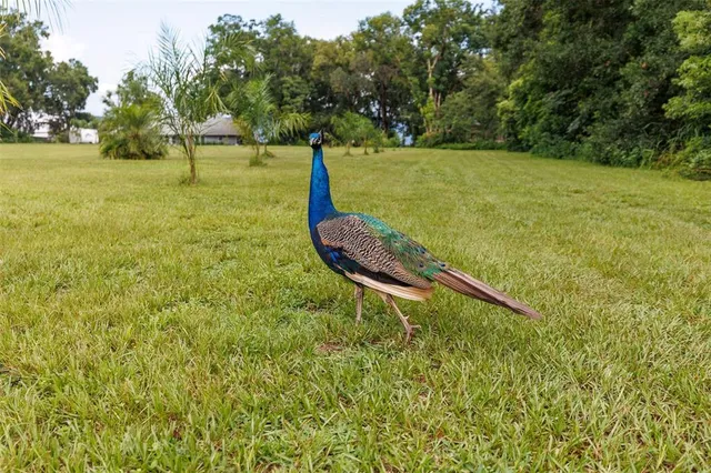 $259,000 | 535 South Prospect Street, Crescent City, FL 32112