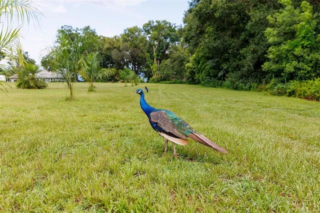 $259,000 | 535 South Prospect Street, Crescent City, FL 32112