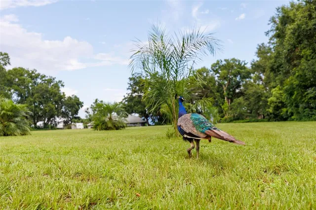 $259,000 | 535 South Prospect Street, Crescent City, FL 32112