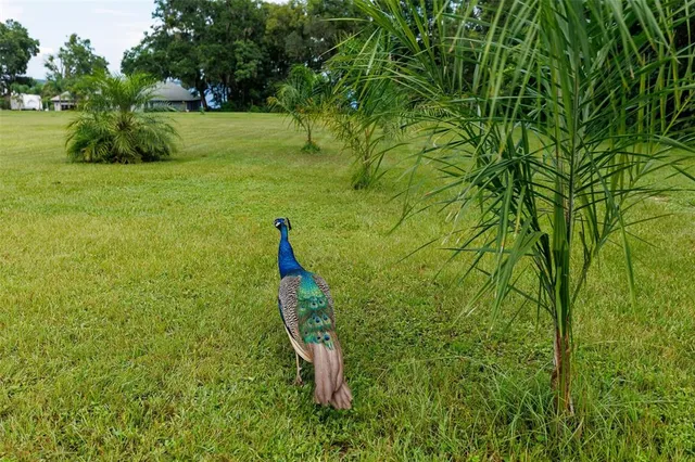 $259,000 | 535 South Prospect Street, Crescent City, FL 32112