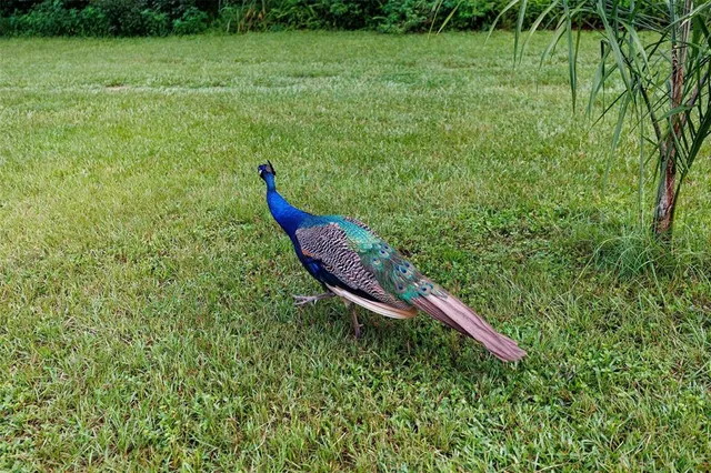 $259,000 | 535 South Prospect Street, Crescent City, FL 32112