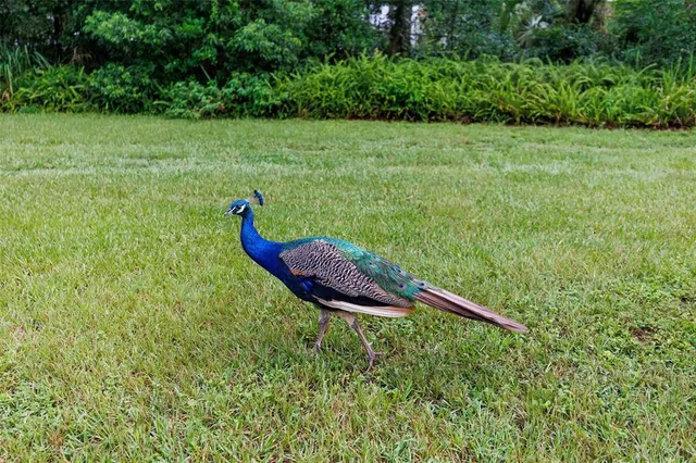 $259,000 | 535 South Prospect Street, Crescent City, FL 32112